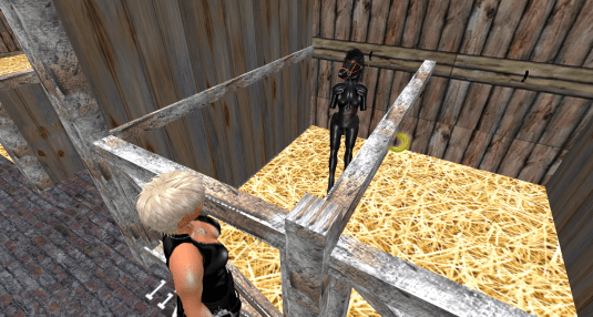 The livestock in it's stall