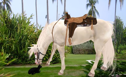 20130105 Horse Jen and cat Dio_001