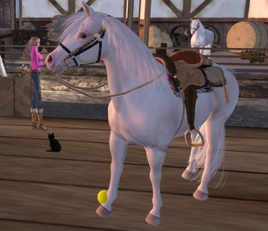 20130105 Miss Carson with her filly and her cat