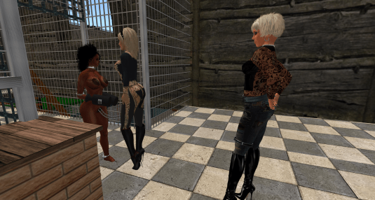 Dana is arrested by Fay at Fortriss Mortice