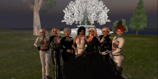 The wedding party: Rayn, Yar, Yasmin, Dio,  Jen, Tyra, Nic