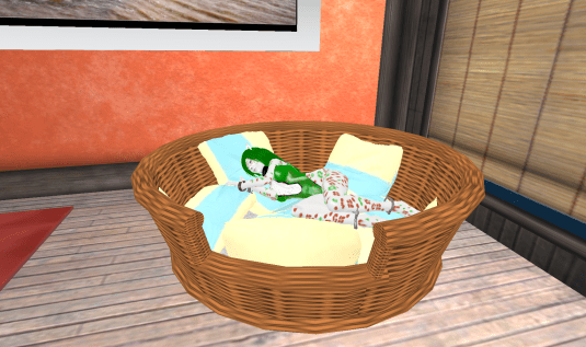 Kitty taking a nap after her adventure