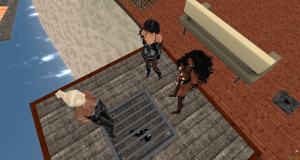 Dio, Jenny  and Deli watching qt - jumping for joy in her pit