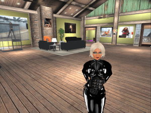 The new main house at Eurobrats HQ (2)