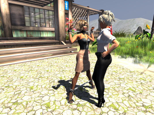 Angelique's new Vixen cuffs (1)