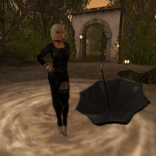 The Vineyard at Checkmate: Dio getting wet feet at the Landing point