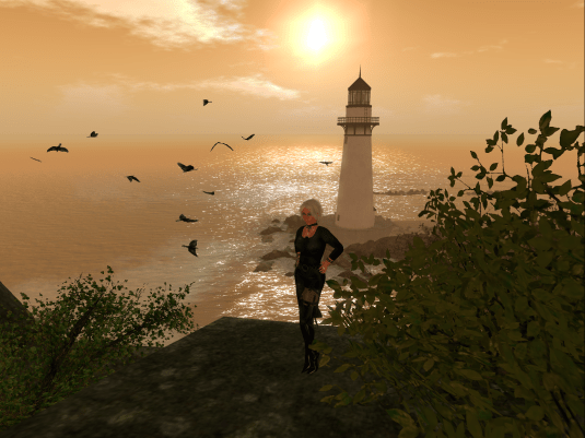 The Vineyard at Checkmate: Beautiful and breathtaking views