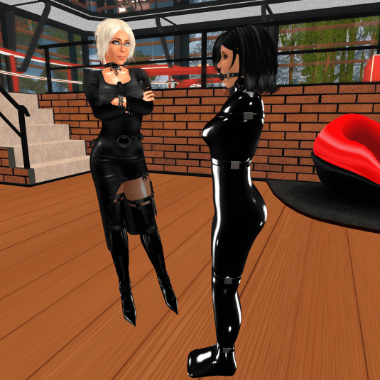 May 31st, Day 9: Dio with Ehesklavin in her latex bag at DaD