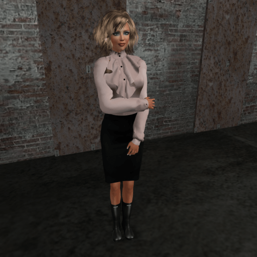 Ladies Blouse with Pencil Skirt (sundaydress)