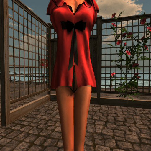 Nightwear Robe (red blouse) [detail]