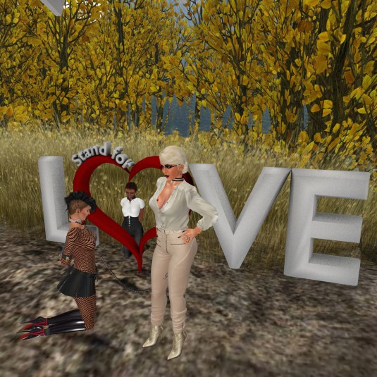 Aspen Fell Endless - The Love Sign