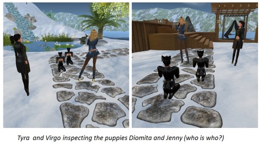 20151227 Tyra and Virgo with the puppies Jenny and Diomita