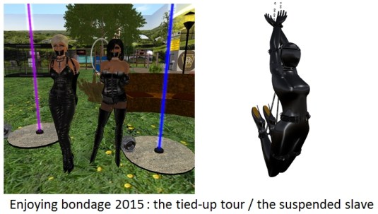 20151231 Enjoying bondage 2015