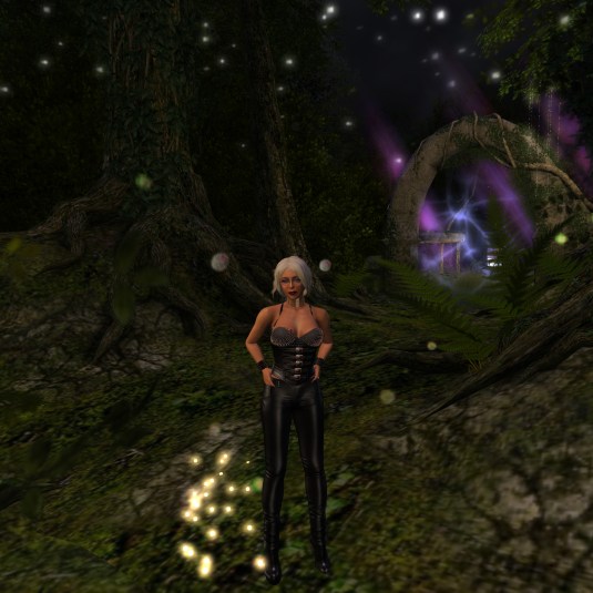 Jan 16th: Forest of Dreams (1)