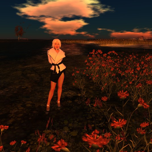 Feb 1st: Diomita gets wet feet visiting High Water