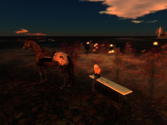 Feb 1st: Diomita taking a break visiting High Water