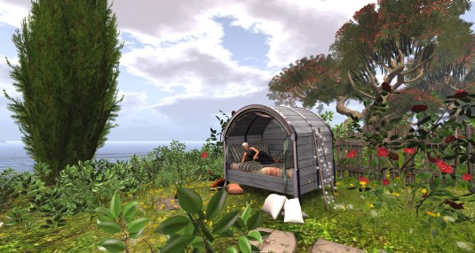 A visit to Noelia Island (1)