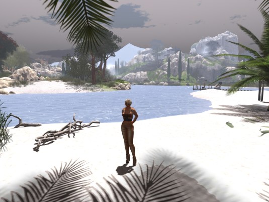 A visit to Noelia Island (4)