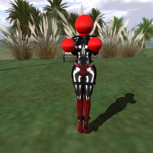 April 11th: slave Flo's new bondage gear