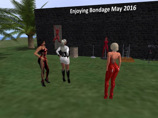 May 16th: Jenny, Sarah and Diomita inspecting the Installation for the next bondage night