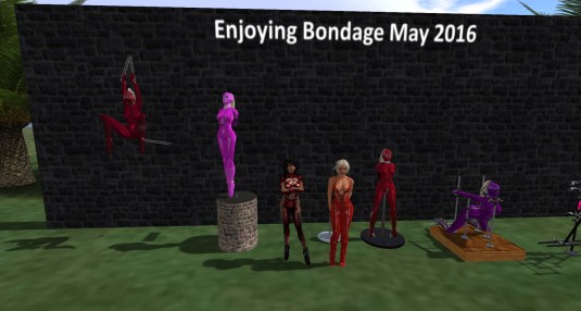 Enjoying bondage May 2016: Shades of red (1)