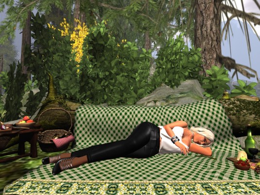 May 22nd: Diomita taking a nap after exploring Alki