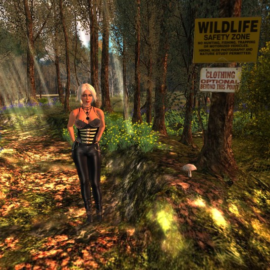 June 5th: In the countryside (1)