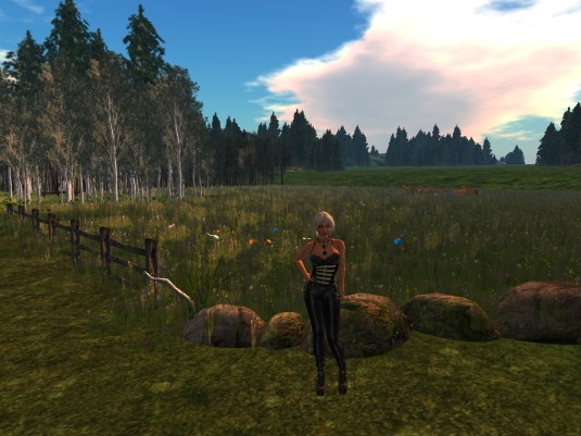 June 5th: In the countryside (2) - seemingly endless