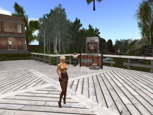 July 17th: My visit to Bridgewood Barrow (1)