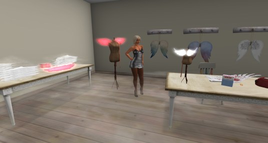 July 23rd: Diomita selecting her wings :-)