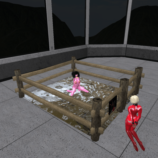 October 18th: Kitty looking at pig Dana