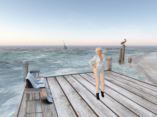 November 19th: At the beach of Summer Trace