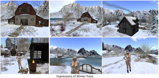 20161119-winter-trace_012