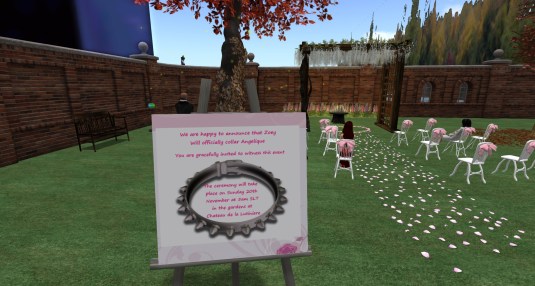 November 20th: Angelique is collared by Zoey