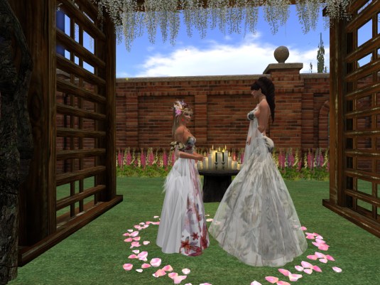 November 20th: Zoey collars our niece Angelique