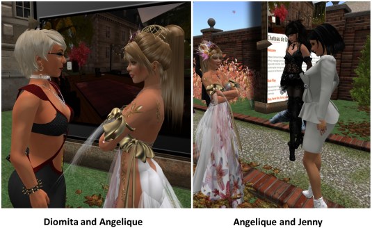 20161120-angel-and-zoey_041