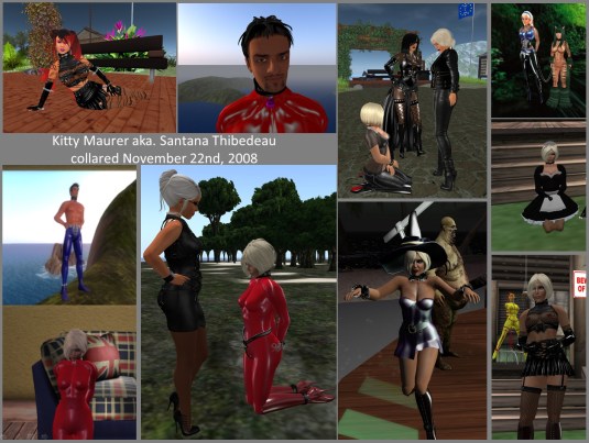 20161122-kitty-maurer