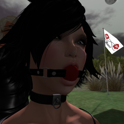 Enjoying bondage November 2016 (II): Posion