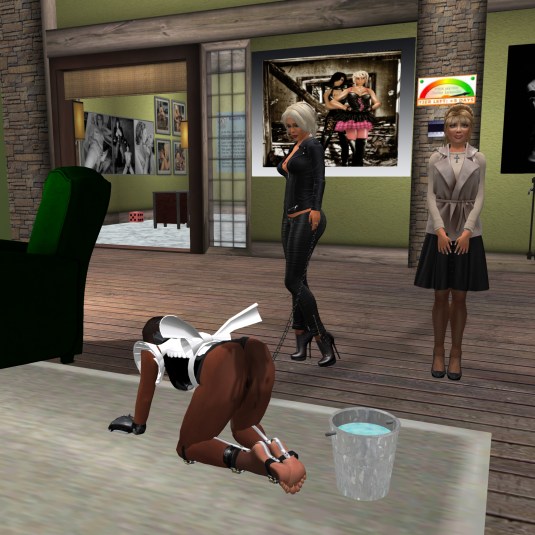 November 27th: slave maid Flo cleaning the carpet, Diomita and Angelique are watching. The stains on slave Flo's back are from her own pee as she couldn't go to the toilet .... you know the mittens *winks*