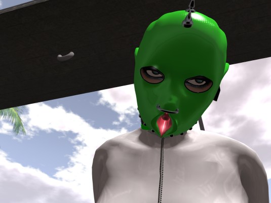 Jan 5th: close-up of our pussy Kitty