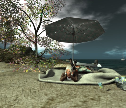 Jan 12th: My second visit to "Follow your bliss" (2)