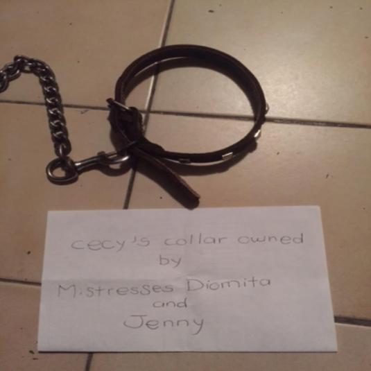 January 13th: slave cecy's RL collar