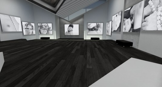 February 6th - "bdsm closeup" at gallery 20][21 opened for public