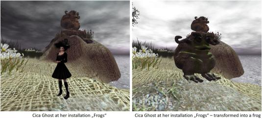 20170207-cicas-frogs_014