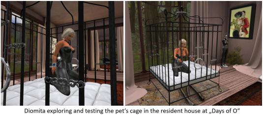 20170223-days-of-o_023